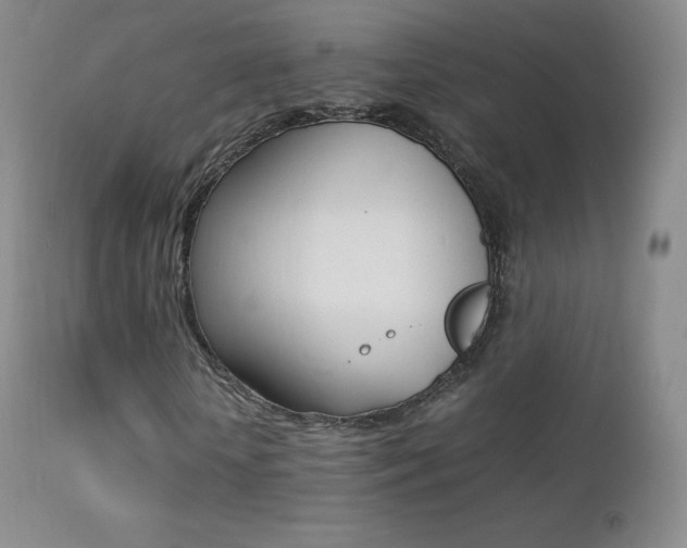 X0000113210818200909100944