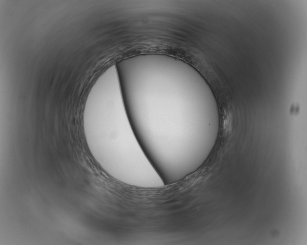 X0000113210819200909100944