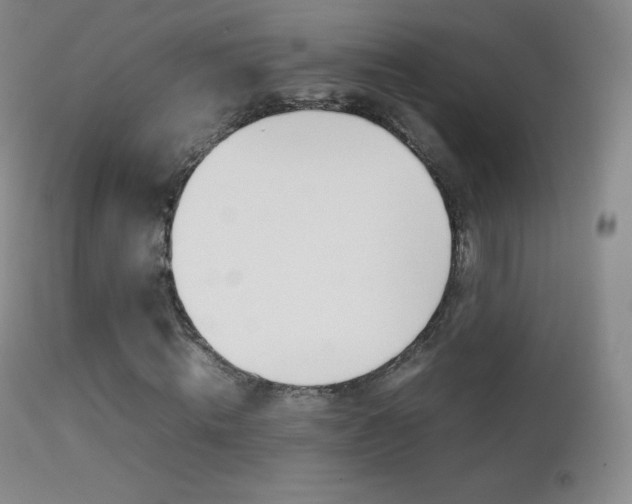 X0000113210820200909100944