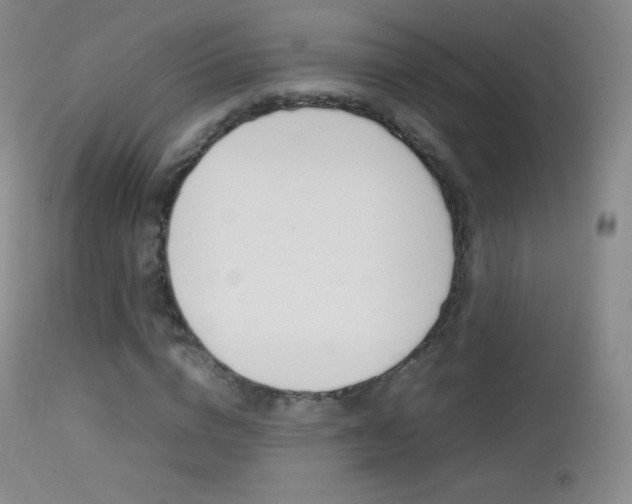 X0000113210824200909100944