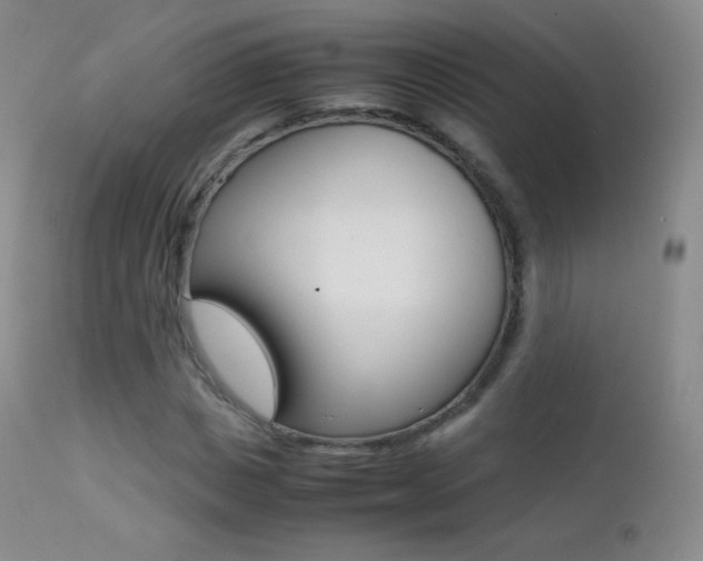 X0000113210825200909100944
