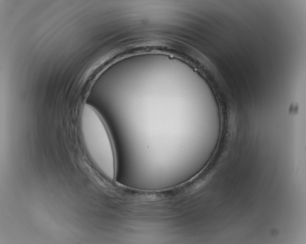 X0000113210826200909100944