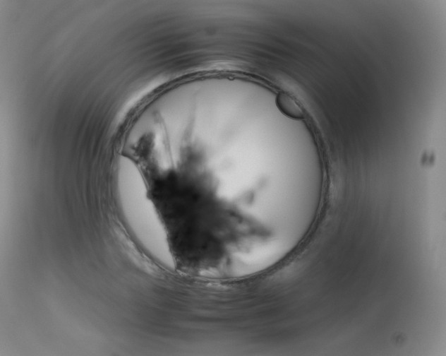 X0000113210827200909100944