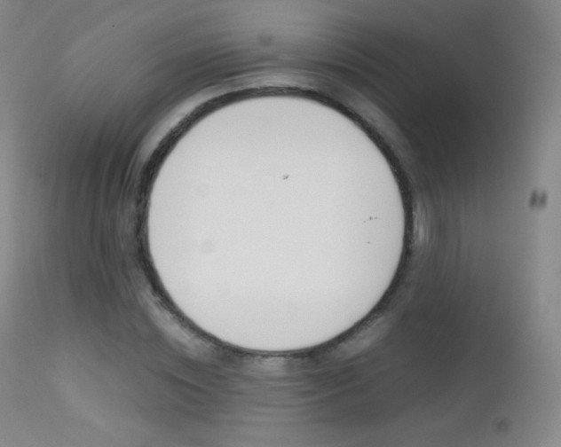X0000113210828200909100944