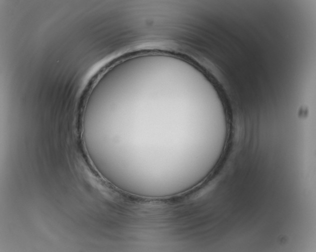 X0000113210830200909100944