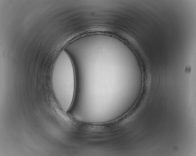 X0000113210833200909100944