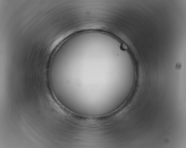 X0000113210834200909100944