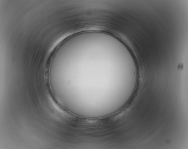 X0000113210835200909100944