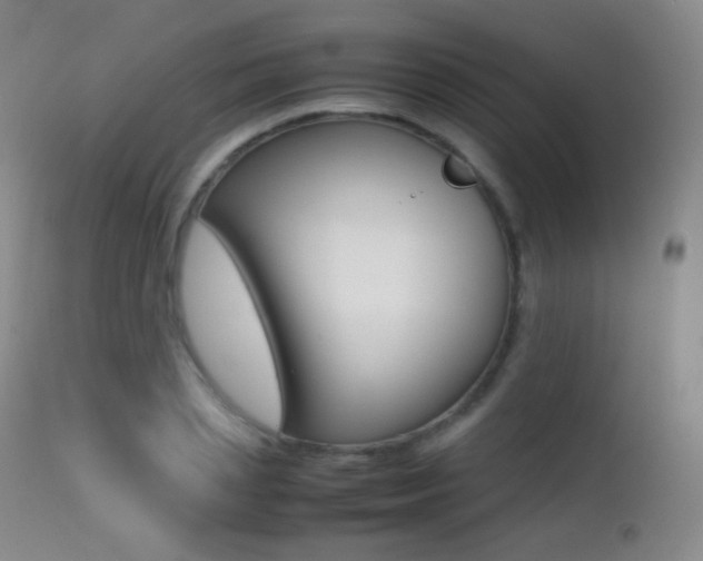 X0000113210837200909100944