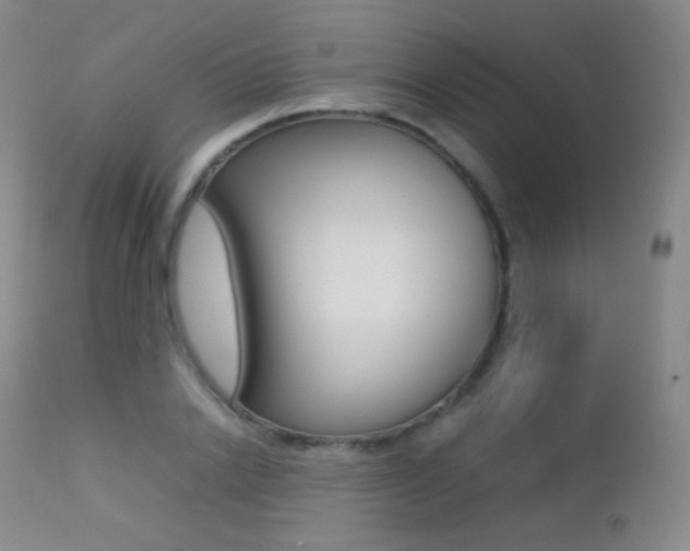 X0000113210838200909100944