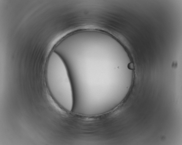 X0000113210839200909100944