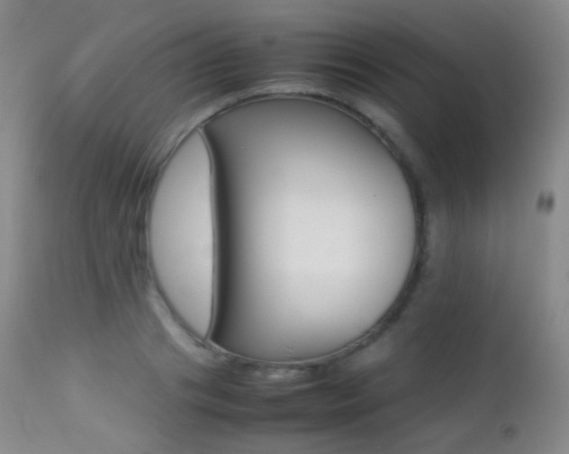 X0000113210841200909100945