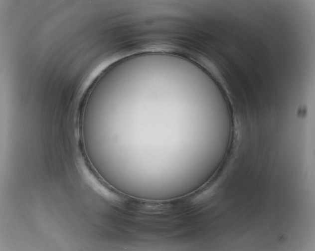 X0000113210843200909100945