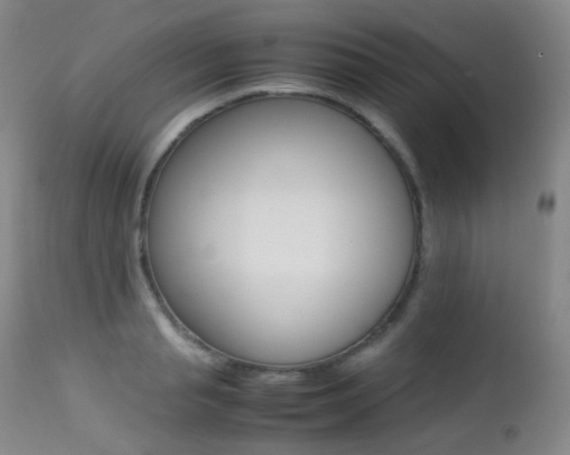X0000113210845200909100945