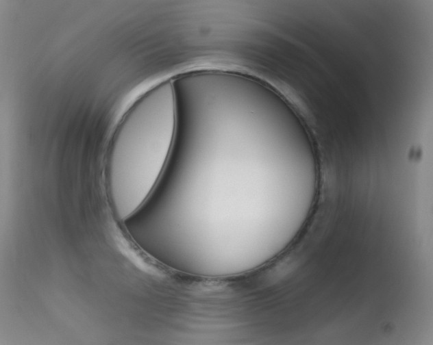 X0000113210846200909100945