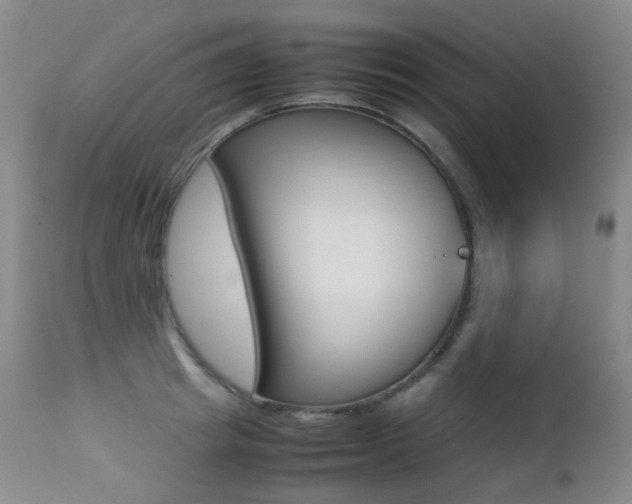 X0000113210849200909100945