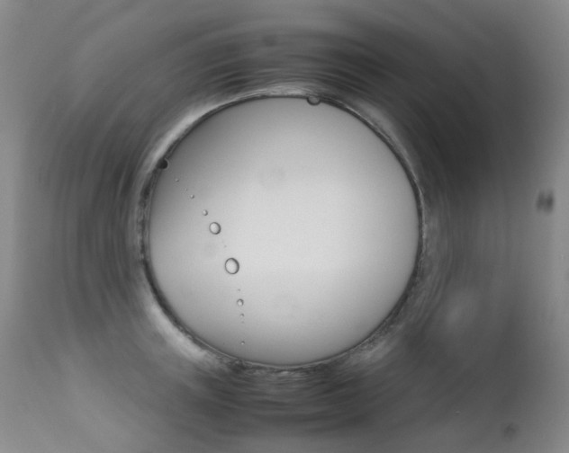 X0000113210851200909100945