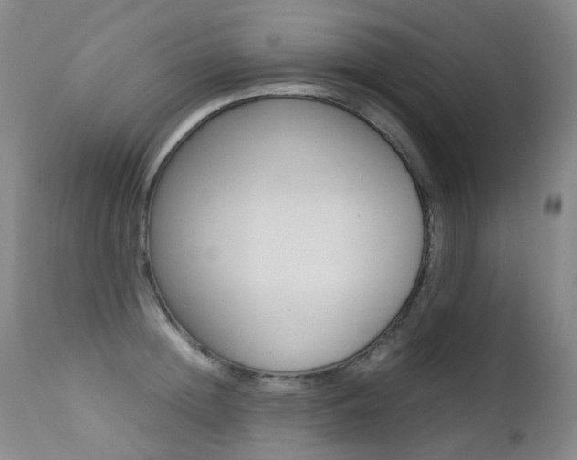 X0000113210852200909100945