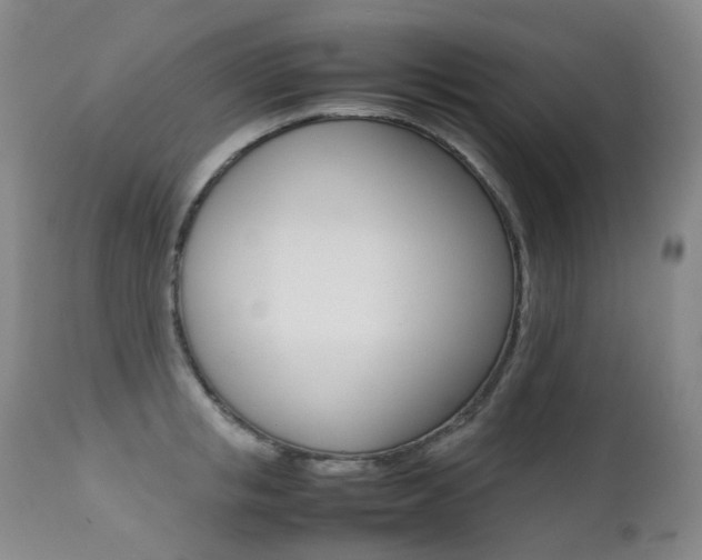 X0000113210853200909100945