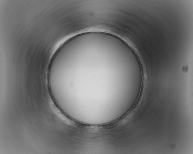 X0000113210854200909100945