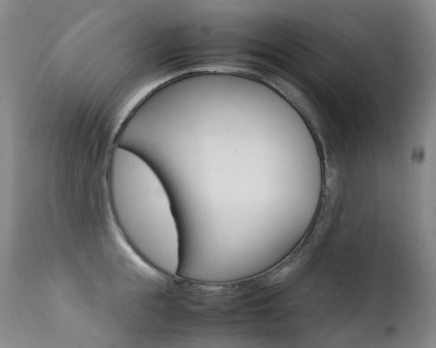 X0000113210855200909100945