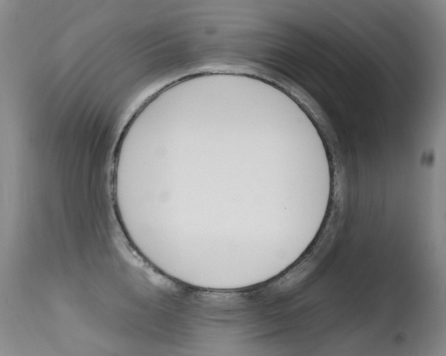X0000113210856200909100945