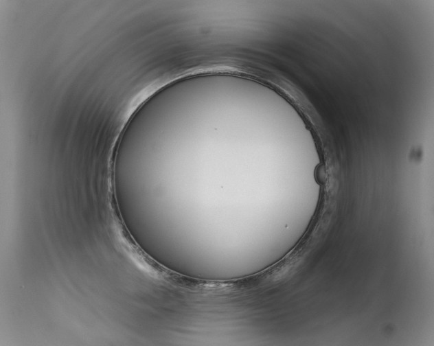 X0000113210858200909100945
