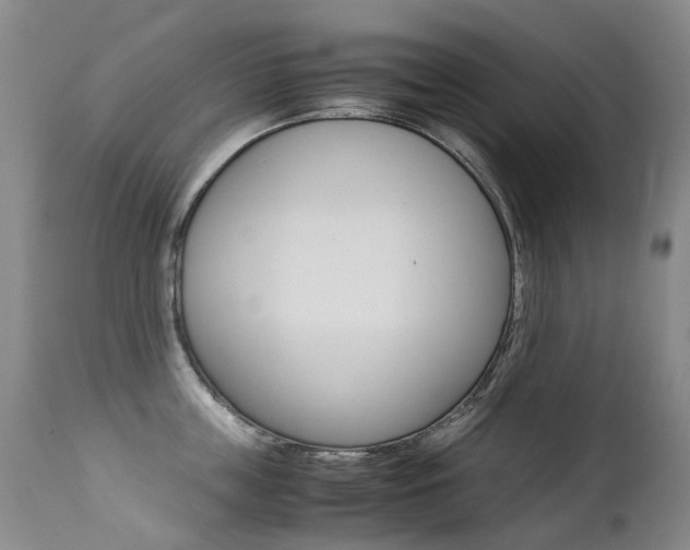 X0000113210859200909100945