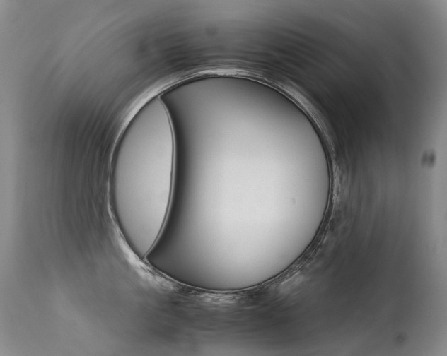 X0000113210861200909100945