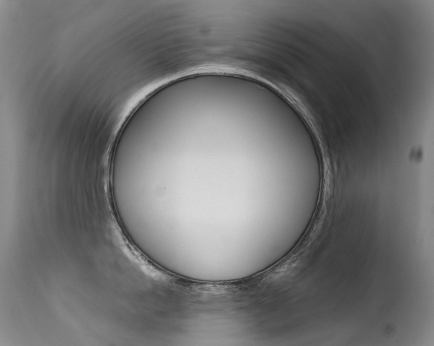 X0000113210862200909100945