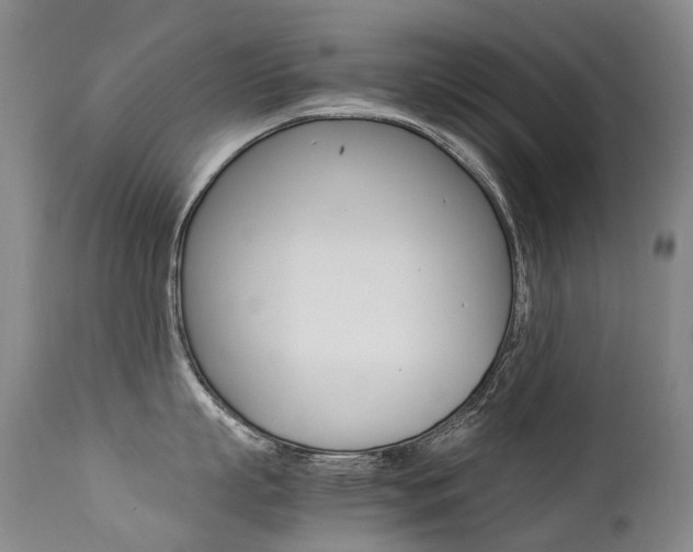 X0000113210863200909100945