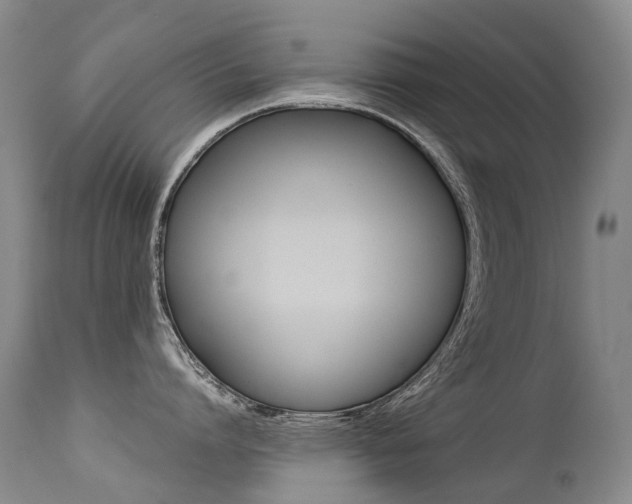 X0000113210864200909100945