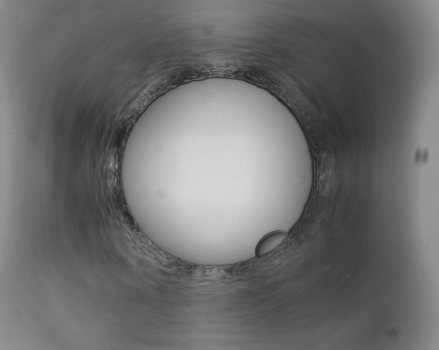 X0000113210866200909100944