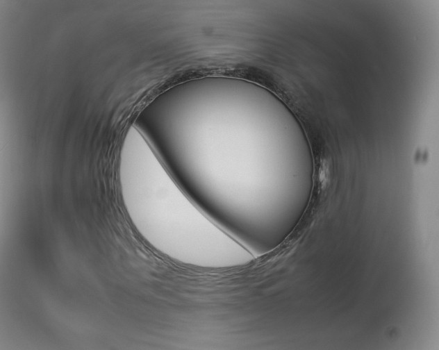X0000113210867200909100944