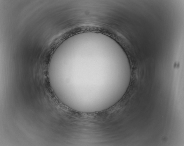 X0000113210870200909100944
