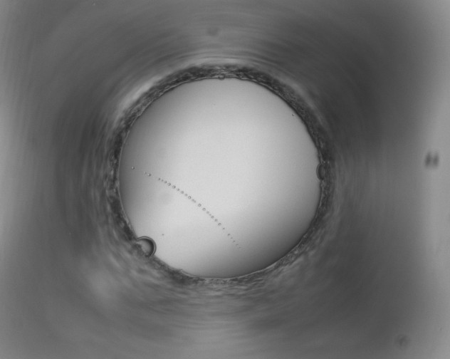 X0000113210871200909100944