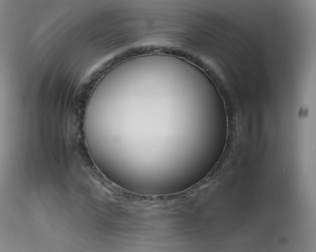 X0000113210872200909100944
