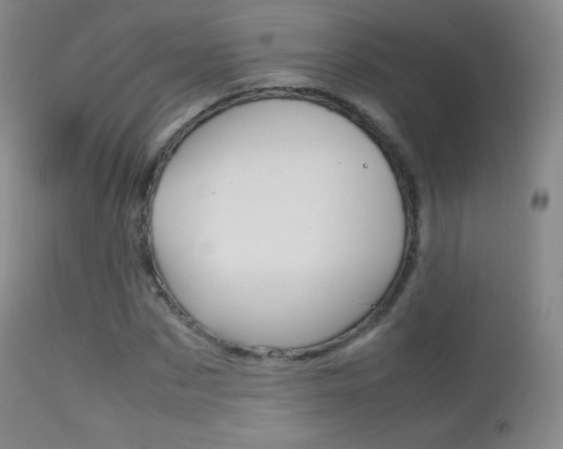 X0000113210873200909100944