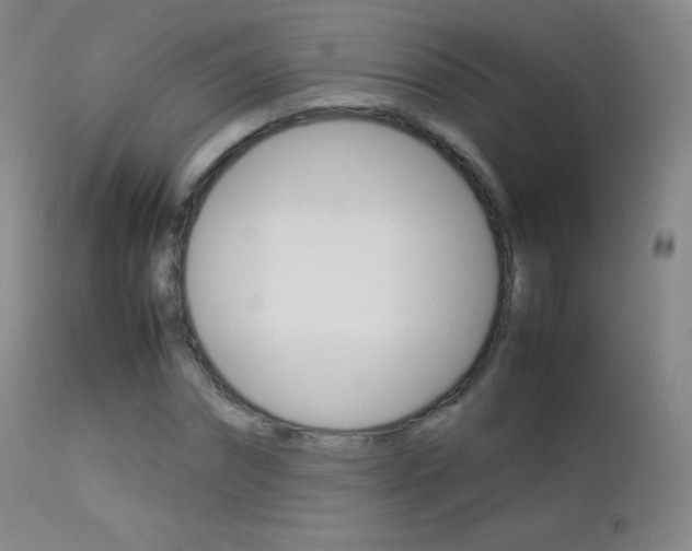 X0000113210874200909100944