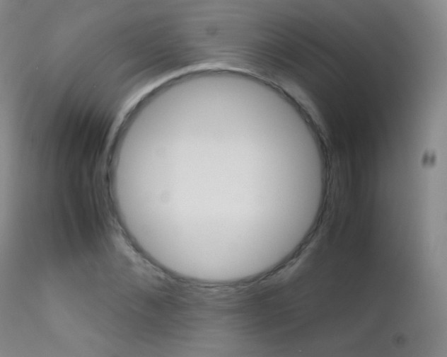 X0000113210876200909100944