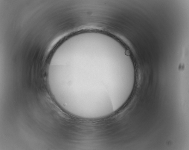 X0000113210878200909100944