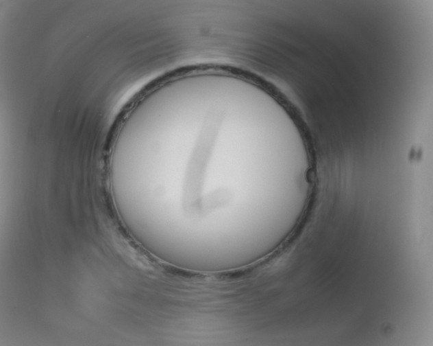 X0000113210879200909100944