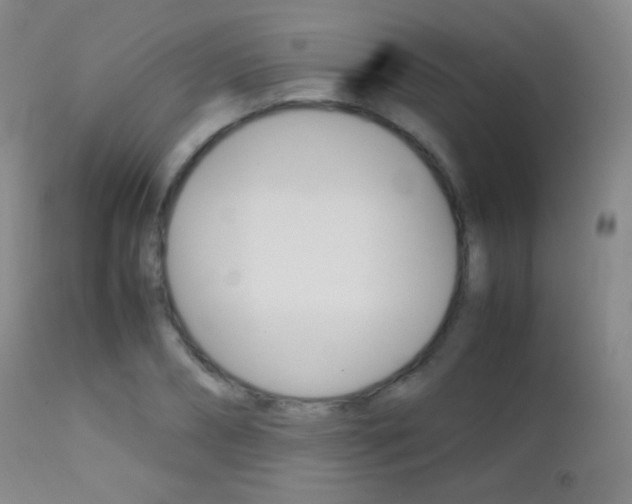 X0000113210882200909100944