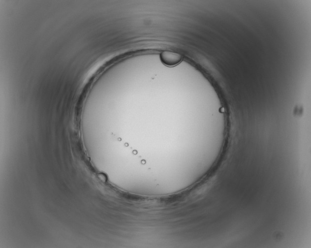X0000113210883200909100944