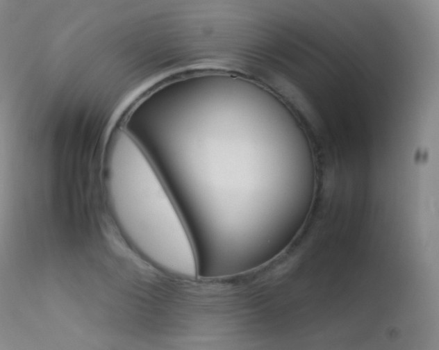 X0000113210884200909100944