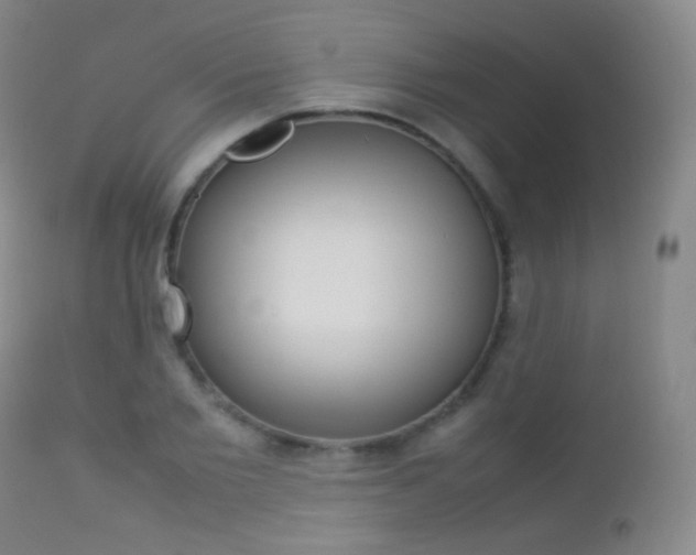 X0000113210885200909100944