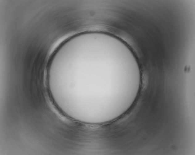 X0000113210886200909100944