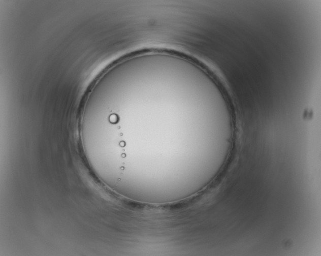 X0000113210887200909100944