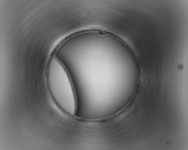 X0000113210888200909100944