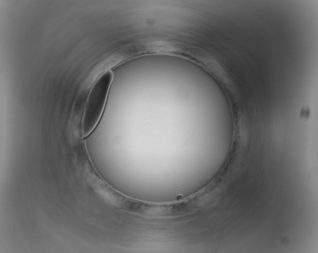 X0000113210889200909100944